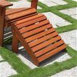 Adirondack Footstools