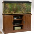 Aquarium Stands