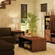 Coffee Tables