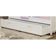 Daybed Trundles and Linksprings