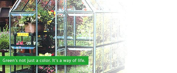 Poly-Tex Enthusiast™ 6' x 8' Polycarbonate Greenhouse Special Edition