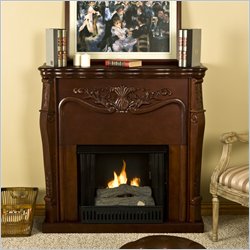 Southern Enterprises Raphael Carved Fireplace