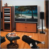 Sanus Component Series Lowboy TV Stand