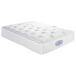Bunk Bed Mattresses
