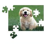 Puzzles