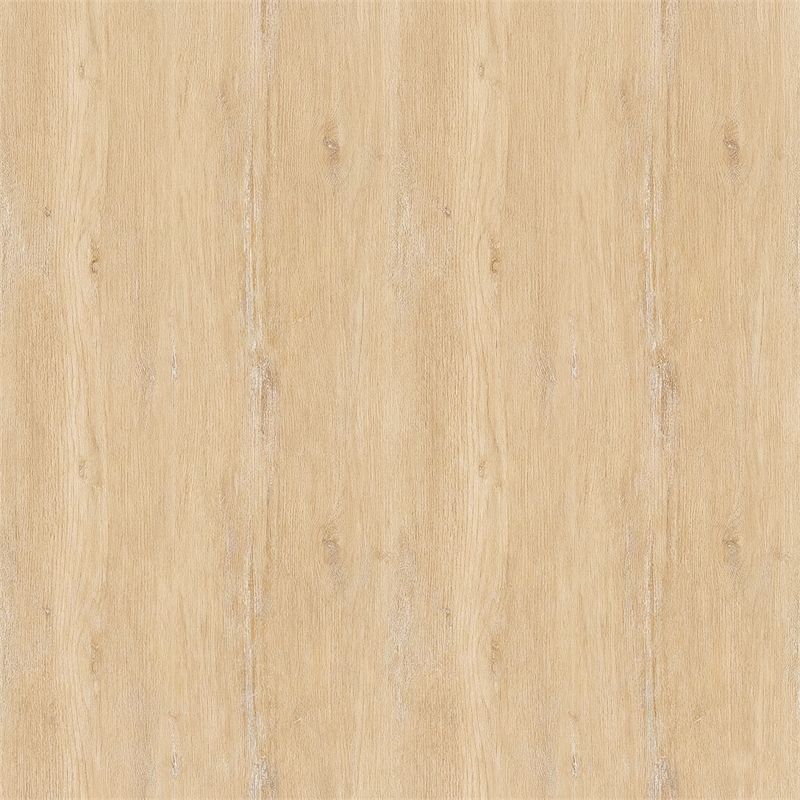 Linon Avalon Oak Wood Oval Back Set of Two Upholstered Dining Chairs in Natural