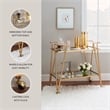 Linon Mia Metal and Mirrored Mid-Century 2 Level Rolling Bar Cart in Gold