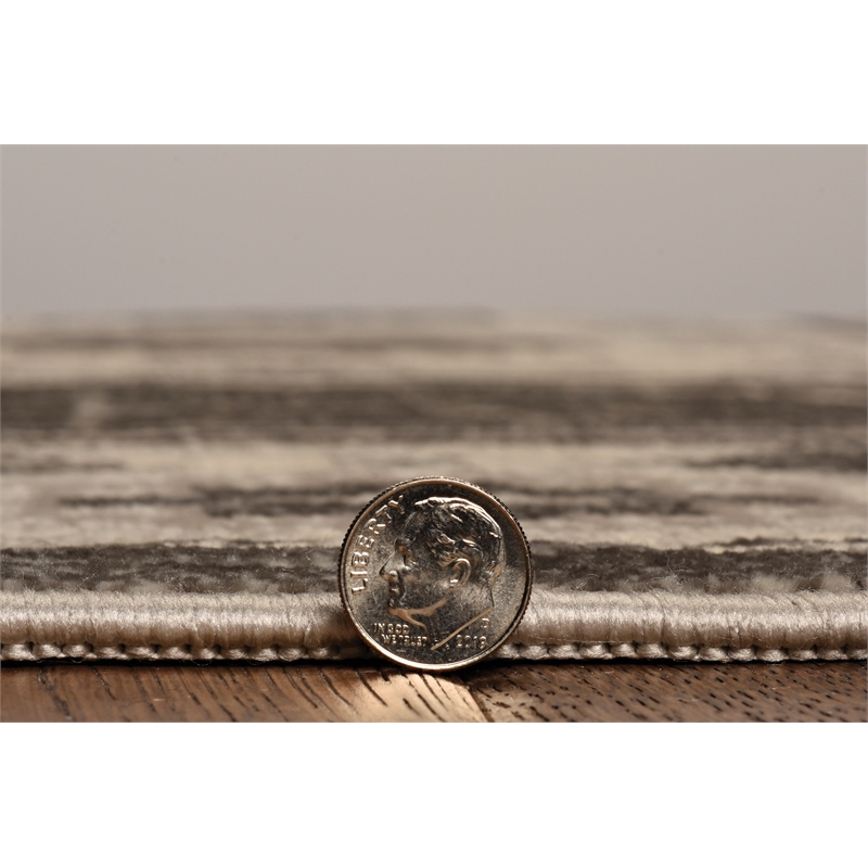 Linon Vintage Buharra Power Loomed Microfiber Polyester 8'x10' Rug in Gray