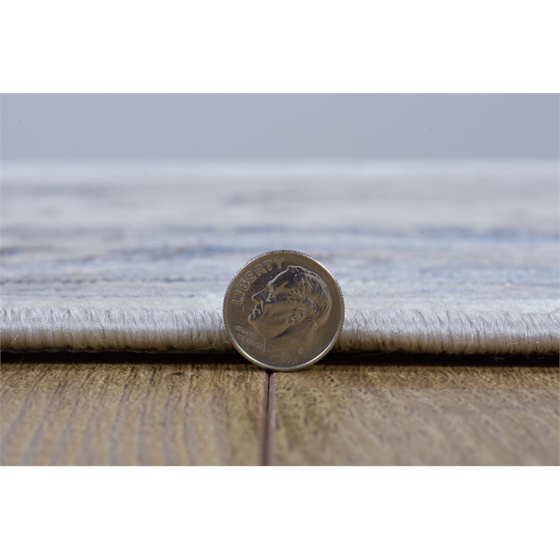 Linon Vintage Isfahan Power Loomed Microfiber Polyester 2'x10' Rug in Gray