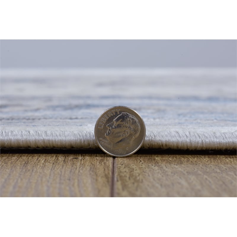 Linon Vintage Isfahan Power Loomed Microfiber Polyester 5'x7'6