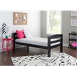 Linon Levi Twin over Full Wood Bunk Bed with Built in Ladder in Black