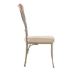 Linon Hamilton Set of 2 Padded Dining Side Chairs Wood Trim in Bronze Metal