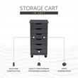 Linon Callie Six Drawer Rolling Storage Cart in Gray Wood