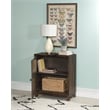 Linon Grace Storage Accent Cabinet Carved Medallion in Dark Brown Finished Wood