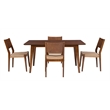 Linon Patty 5 Piece Dining Set with Woven Seats in Warm Brown Stained Rubberwood