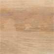 Linon Micah Cabinet Two Carved Doors 2 Shelves in Natural Stained Mango Wood