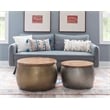 Linon Reid Large Wood and Metal Drum Table with Storage in Brass