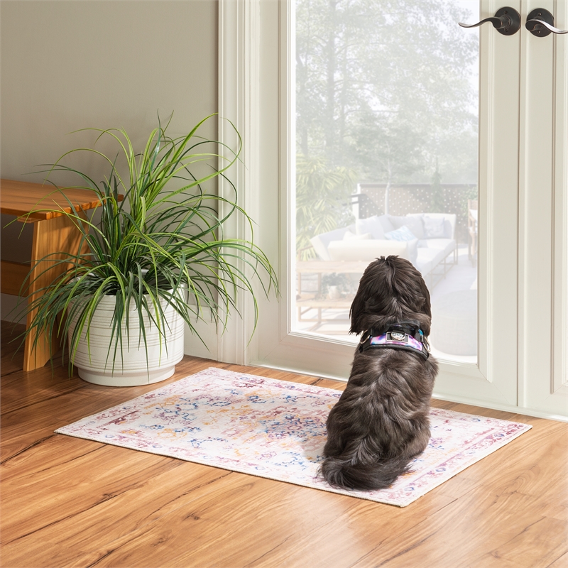 Linon Washable Merit Polyester 2'x3' Rug in Ivory
