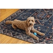 Linon Washable Lee Polyester 5'x7' Rug in Navy