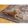 Linon Washable Wright Polyester 5'x7' Rug in Ivory