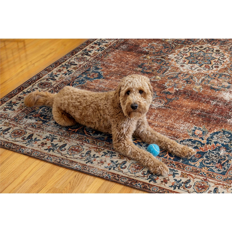 Linon Washable Foley Polyester 5'x7' Rug in Brown
