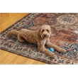 Linon Washable Foley Polyester 5'x7' Rug in Brown