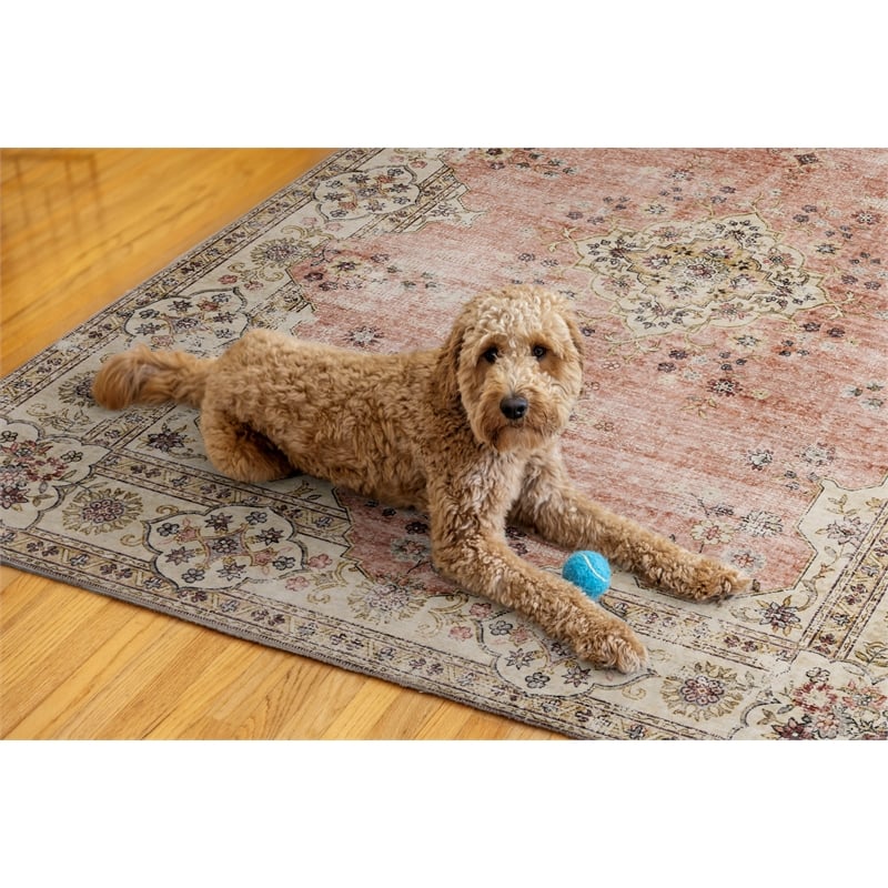 Linon Washable Blanche Polyester 5'x7' Rug in Pink