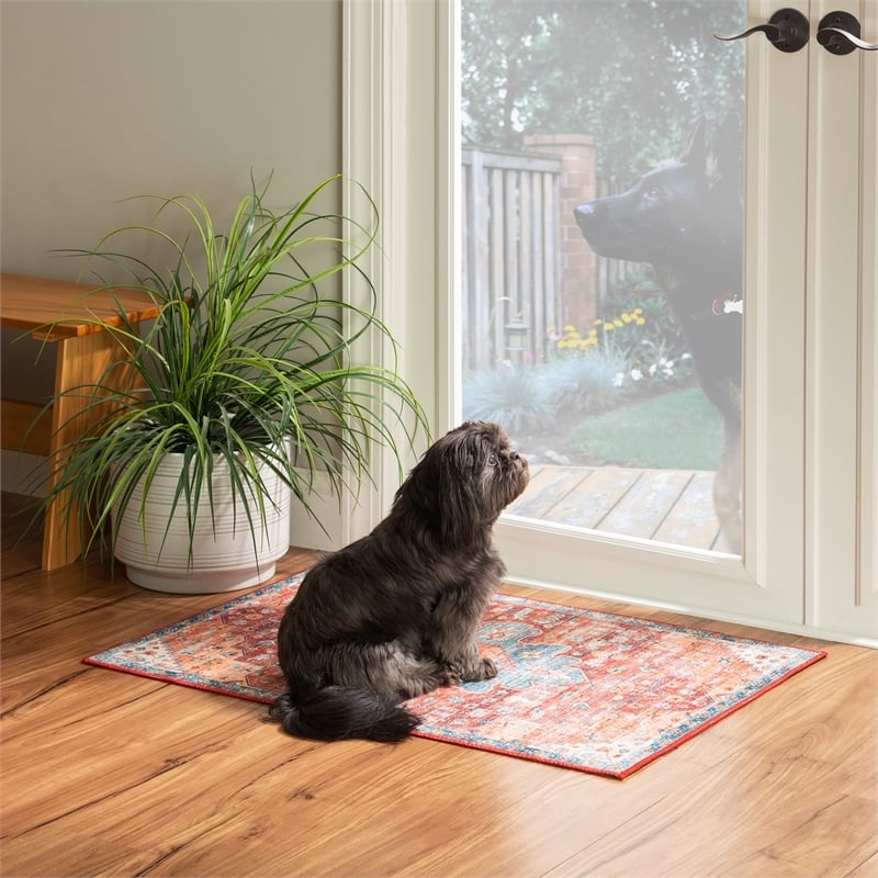 Linon Washable Cason Polyester 2'x3' Rug in Rust Orange