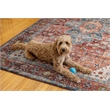 Linon Washable Cason Polyester 5'x7' Rug in Rust Orange