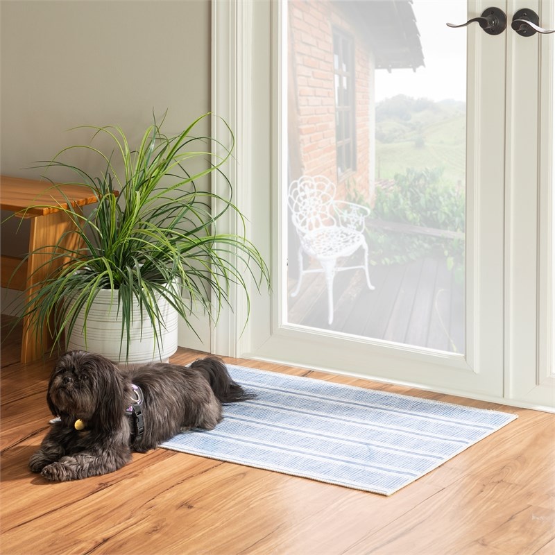 Linon Washable Walton Polyester 2'x3' Rug in Ivory