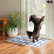 Linon Washable Shailley Polyester 2'x3' Rug in Ivory