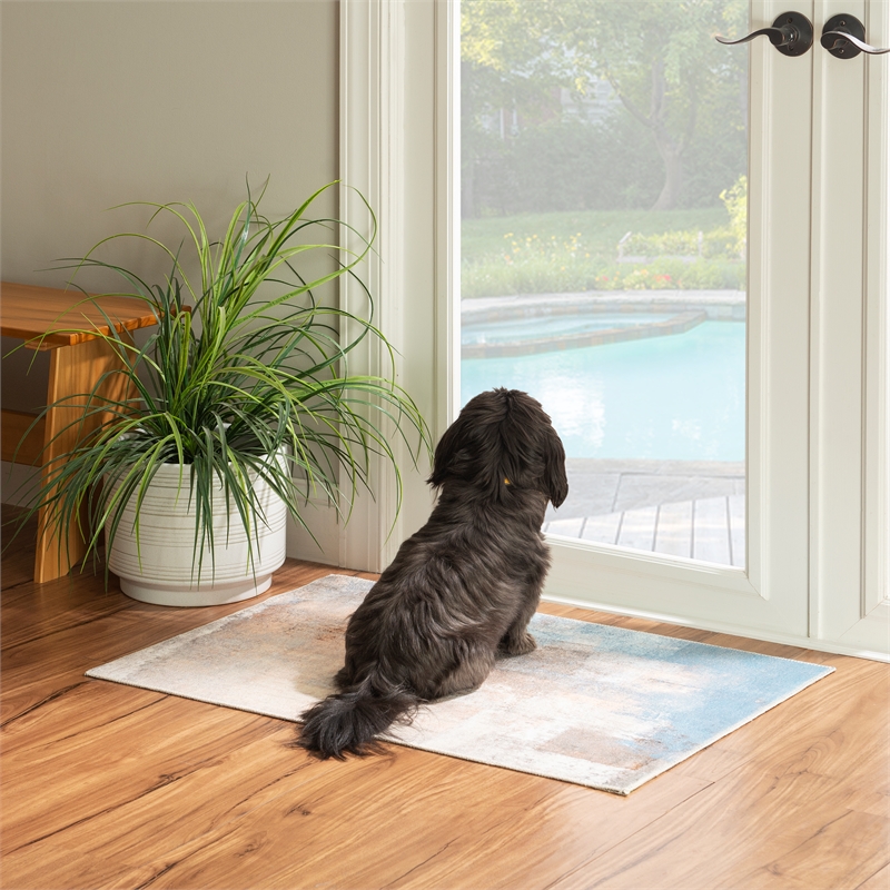Linon Washable Keller Polyester 2'x3' Rug in Beige