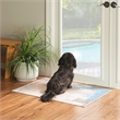 Linon Washable Keller Polyester 2'x3' Rug in Beige