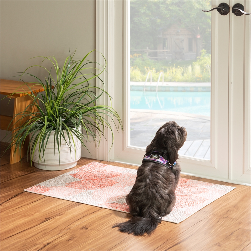 Linon Washable Hayden Polyester 2'x3' Rug in Ivory