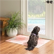 Linon Washable Hayden Polyester 2'x3' Rug in Ivory