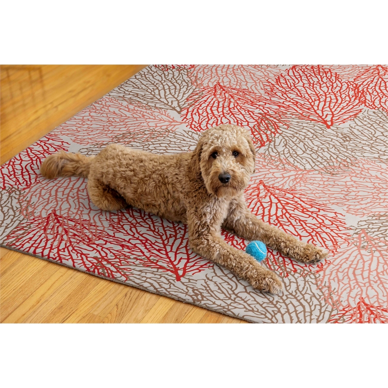 Linon Washable Hayden Polyester 5'x7' Rug in Ivory