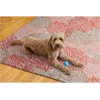 Linon Washable Hayden Polyester 5'x7' Rug in Ivory
