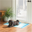Linon Washable Larson Polyester 2'x3' Rug in Ivory
