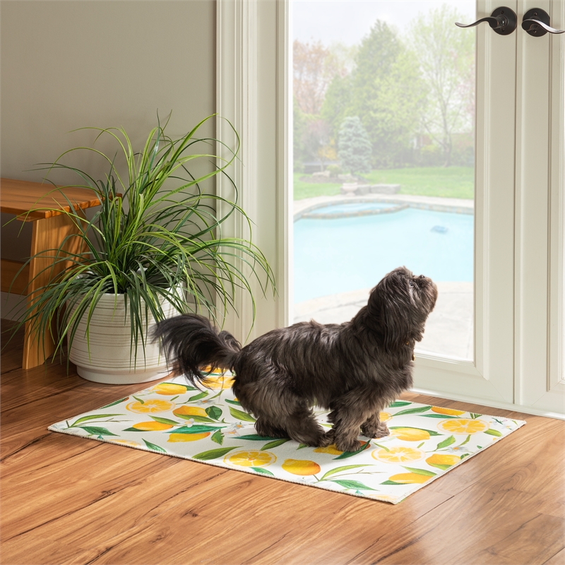 Linon Washable Saylor Polyester 2'x3' Rug in Ivory