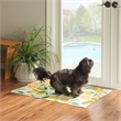 Linon Washable Saylor Polyester 2'x3' Rug in Ivory