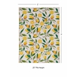 Linon Washable Saylor Polyester 2'x3' Rug in Ivory