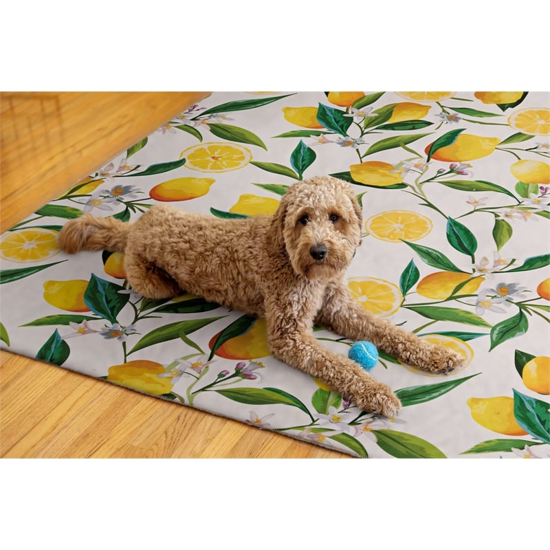 Linon Washable Saylor Polyester 5'x7' Rug in Ivory