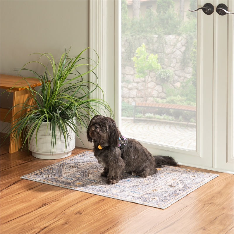 Linon Washable Kirby Polyester 2'x3' Rug Gray