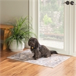 Linon Washable Kirby Polyester 2'x3' Rug Gray