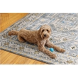 Linon Washable Kirby Polyester 5'x7' Rug in Gray