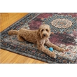 Linon Washable Adams Polyester 5'x7' Rug in Ivory