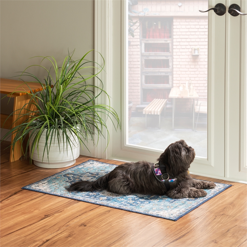 Linon Washable Madi Polyester 2'x3' Rug in Teal Blue