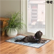 Linon Washable Madi Polyester 2'x3' Rug in Teal Blue