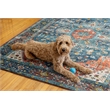 Linon Washable Langley Polyester 5'x7' Rug in Teal Blue
