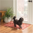 Linon Washable Colson Polyester 2'x3' Rug in Red